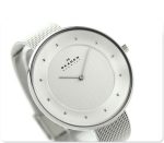 ساعت SKAGEN مدل skw2140