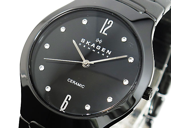 ساعت SKAGEN مدل 817sbxbc