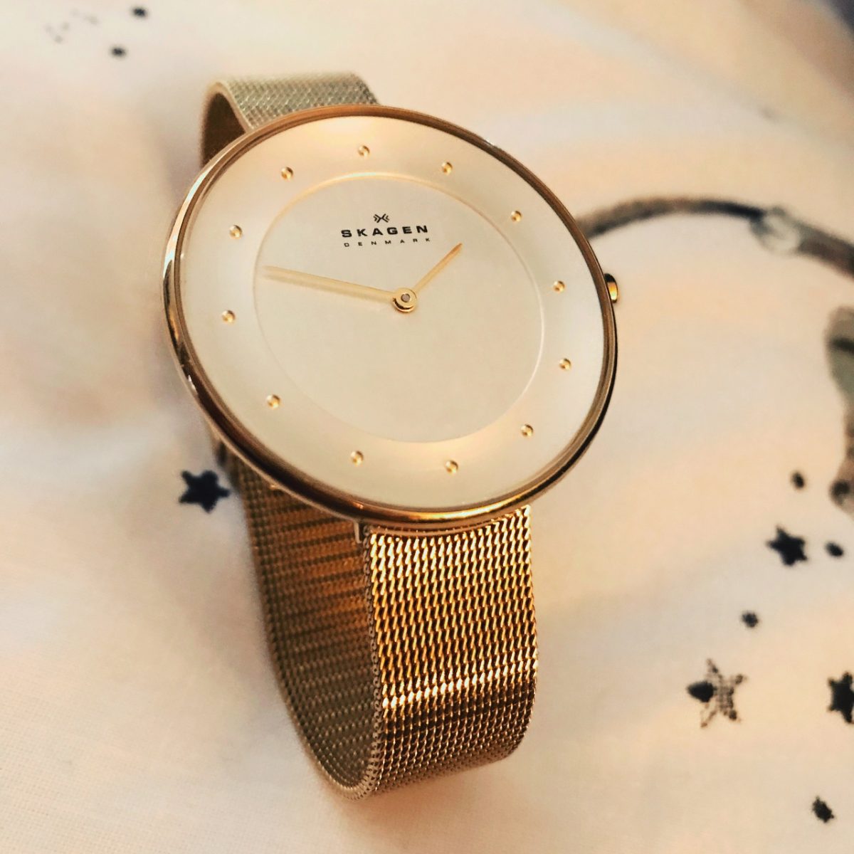 ساعت SKAGEN مدل skw2141