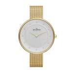 ساعت SKAGEN مدل skw2141