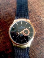 ساعت SKAGEN مدل 809xltrb